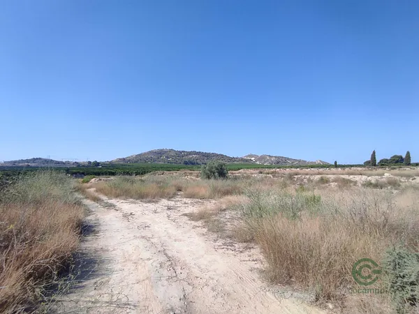 Spot image