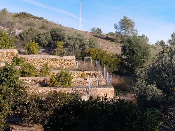 Finca agrícola de 32 ha en venta en Sumacarcer, Valencia
