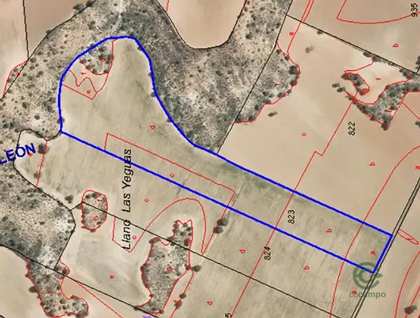 Spot image