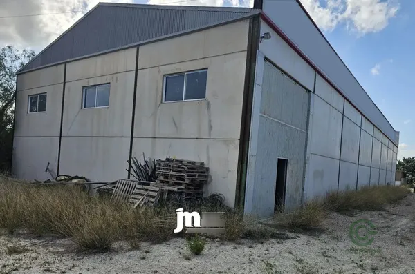 Spot image