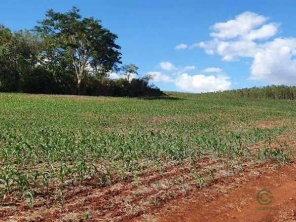 Fazenda agrícola de 20,81 ha para venda em Paraná