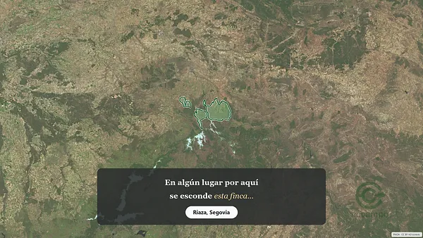 Spot image