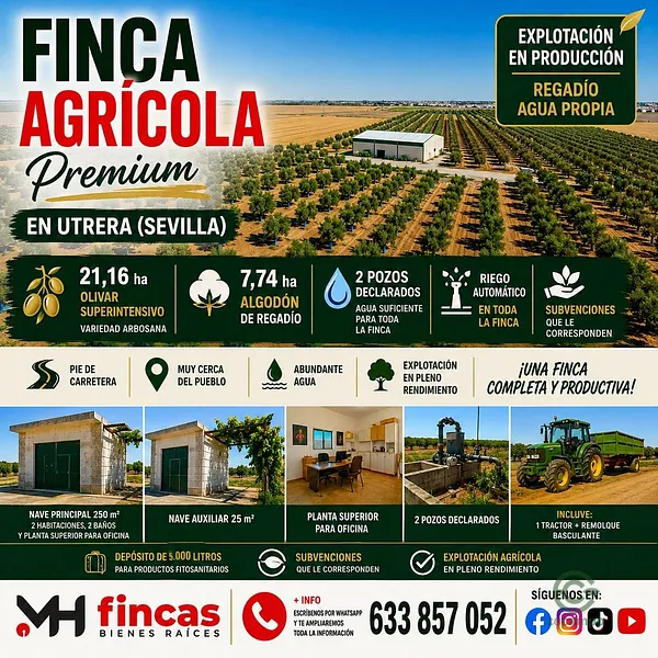Finca agrícola de 29,2729 ha en venta en Utrera, Sevilla