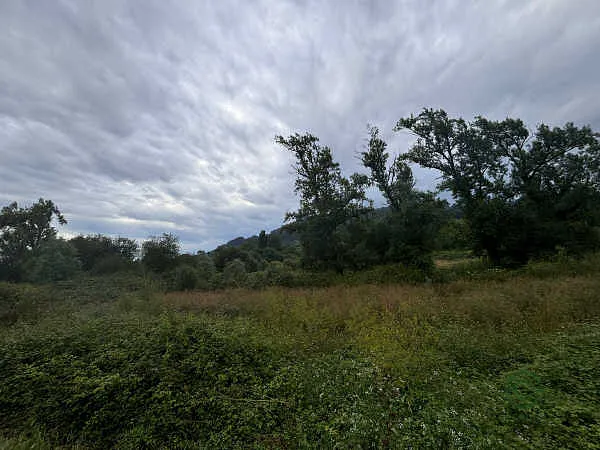 Finca rústica de 0,3663 ha en venta en Oviedo, Asturias