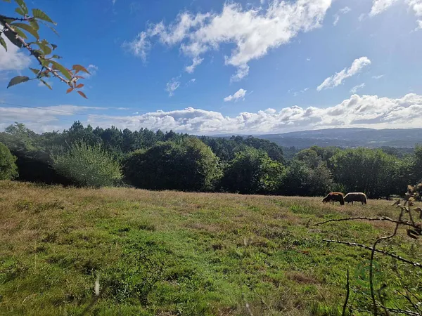 Terreno urbano de 0,1391 ha en venta en Brión, La coruña