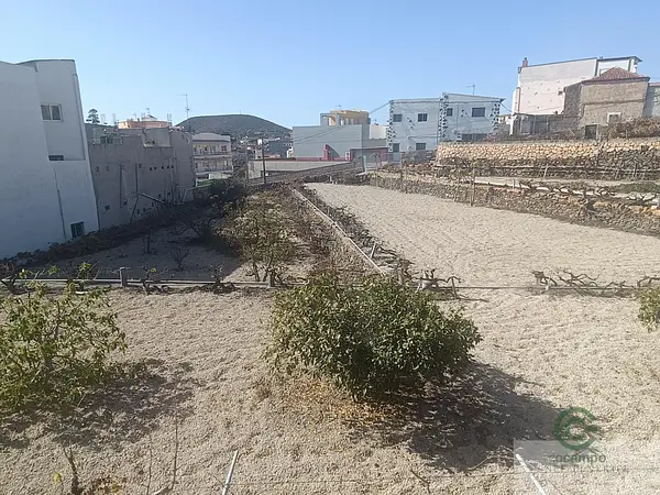Finca agrícola de 0,42 ha en venta en San Isidro de Abona, Tenerife