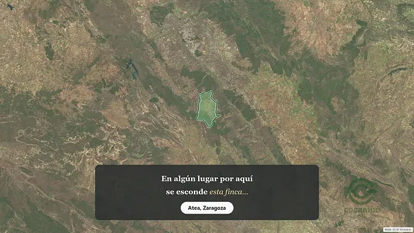 Spot image
