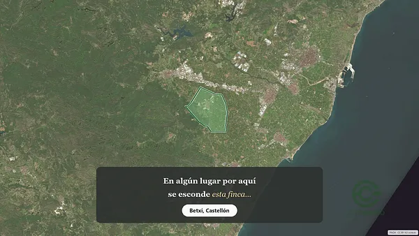 Spot image
