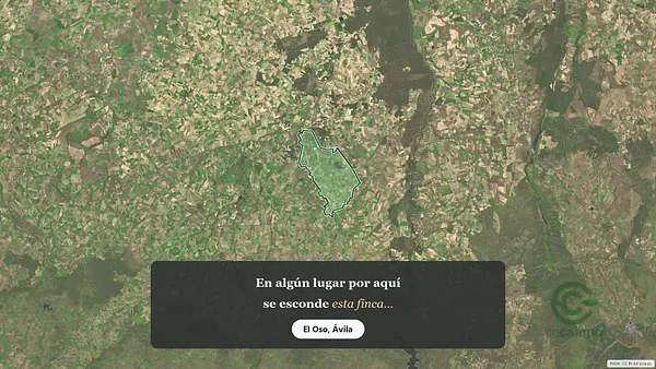 Spot image