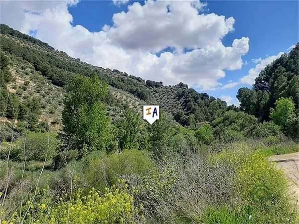 Spot image