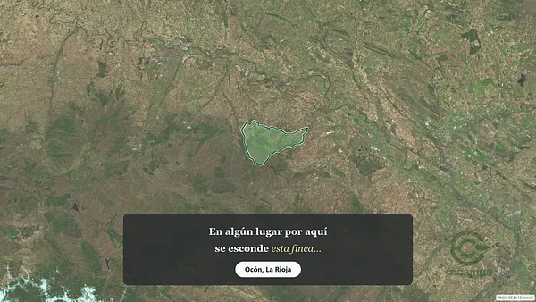 Spot image