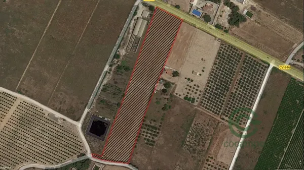 Finca de recreo de 1 ha en venta en Alicante