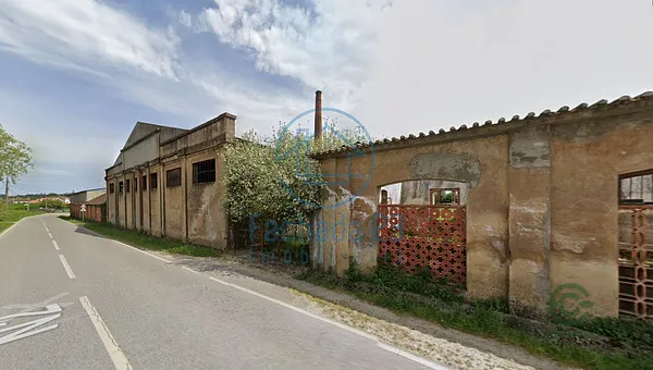 Spot image