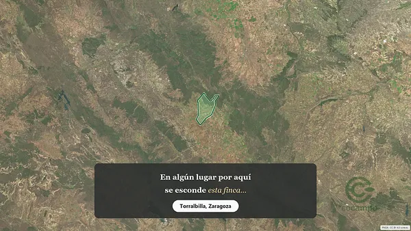Spot image