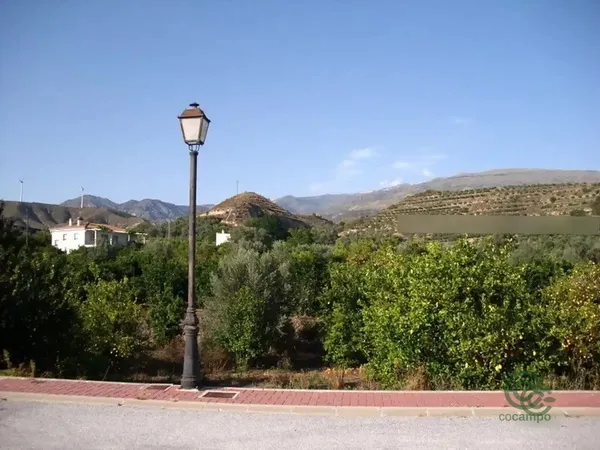 Spot image