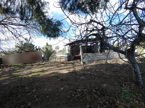 Spot image