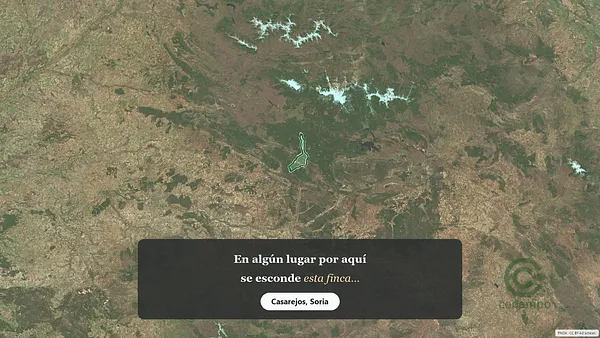 Spot image