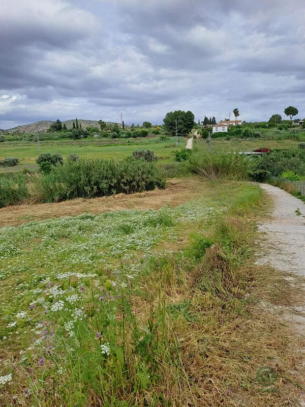 Spot image