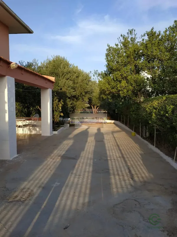 Spot image
