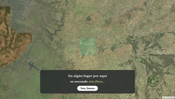 Spot image