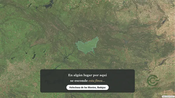 Spot image