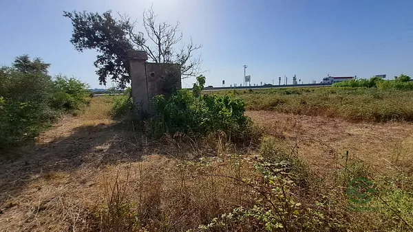 Spot image