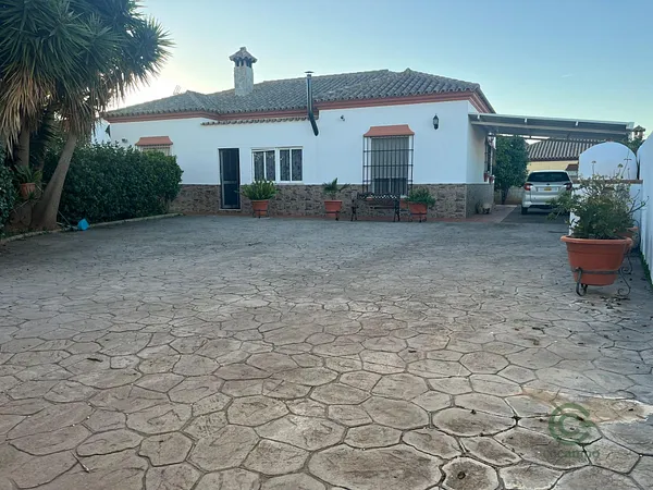 Spot image
