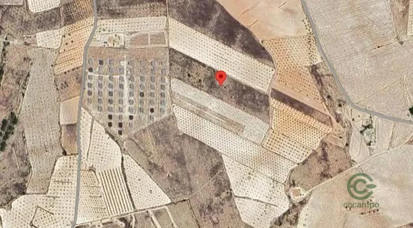 Spot image