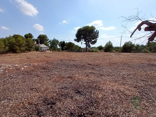 Spot image