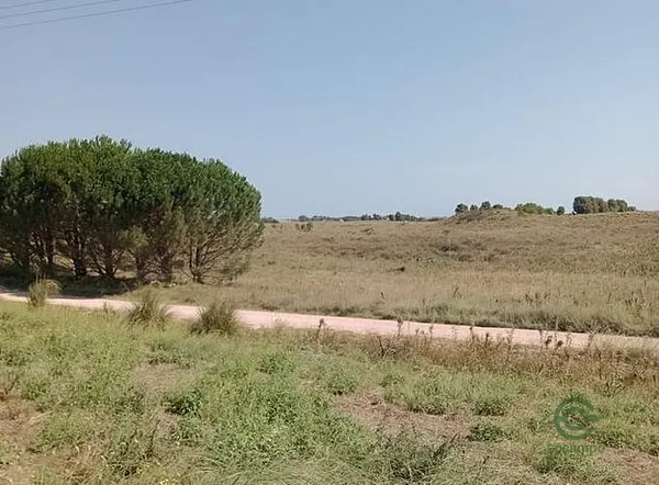 Finca agrícola de 0,48 ha en venta en Buenos aires
