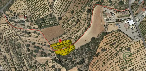 Spot image