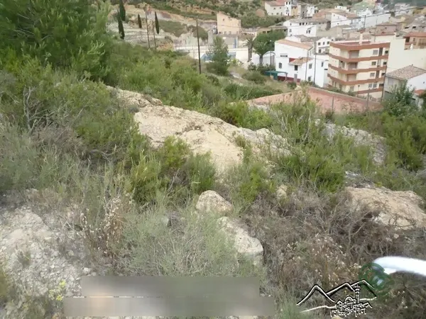 Spot image