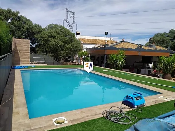Spot image