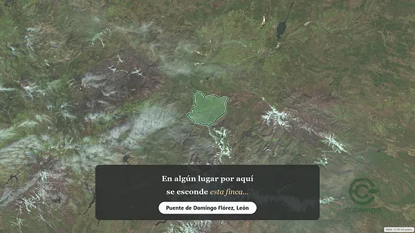 Spot image