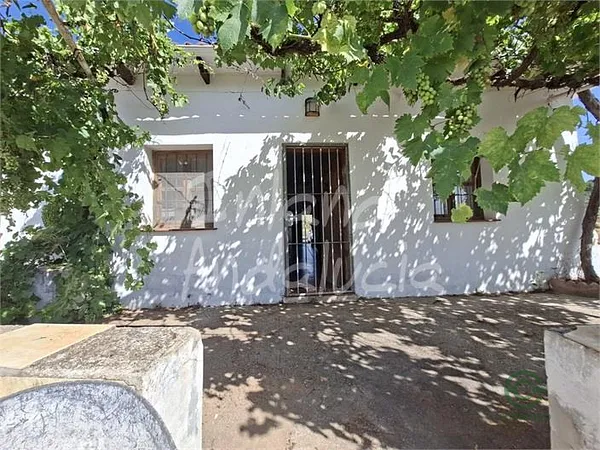 Finca rústica de 0,6 ha en venta en Velez Malaga, Malaga