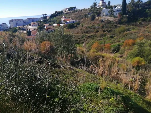Spot image