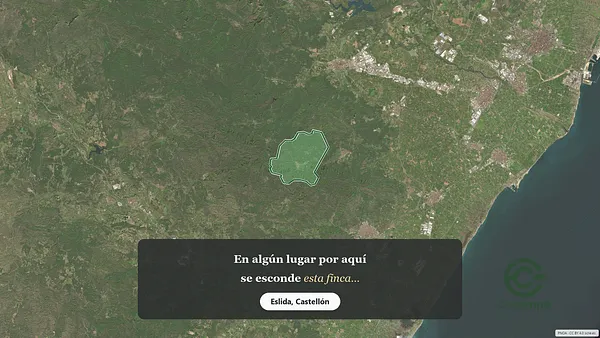 Spot image
