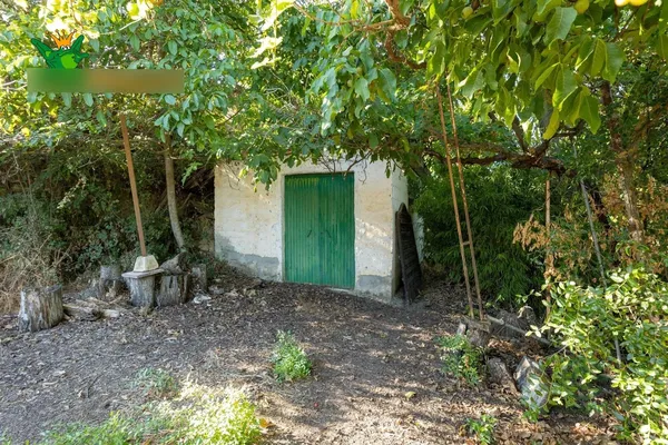 Spot image