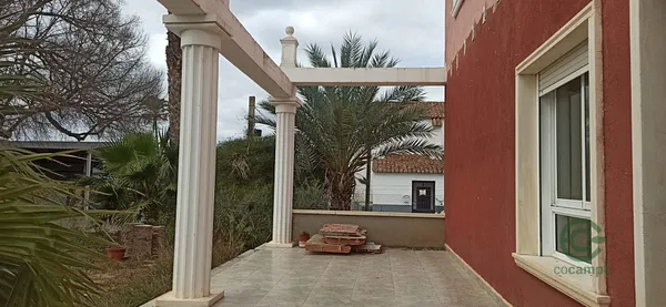 Spot image