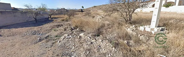 Spot image