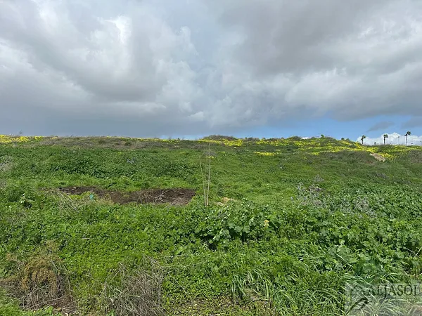 Spot image