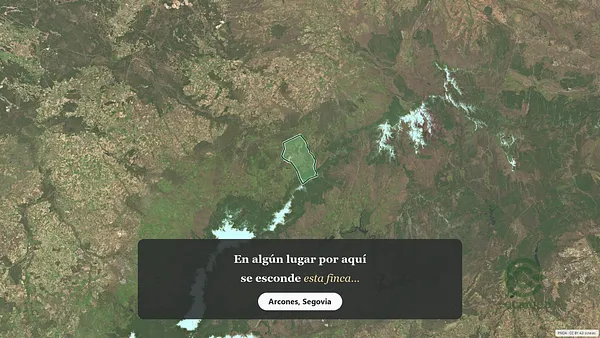 Spot image