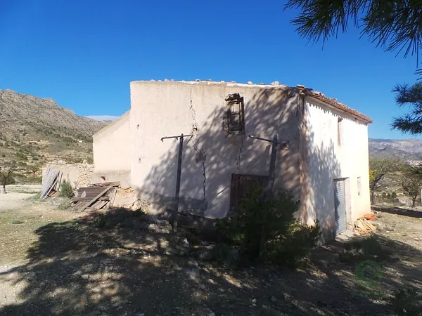 Spot image