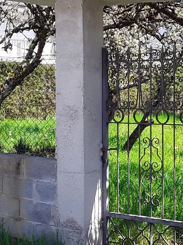 Spot image