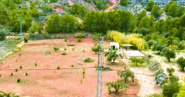 Spot image