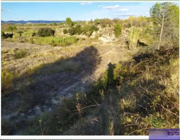 Finca agrícola de 0,58 ha en venta en Almoines, Valencia