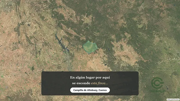 Spot image