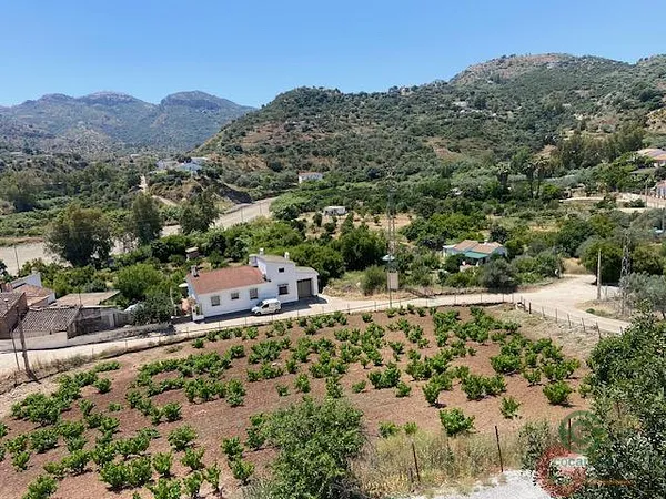 Spot image