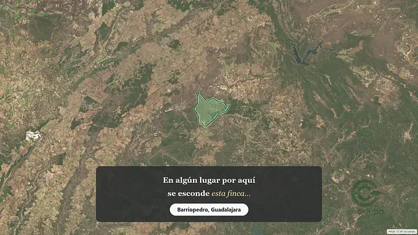 Spot image