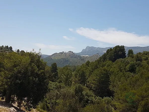 Finca agrícola de 0,25 ha en venta en Alicante